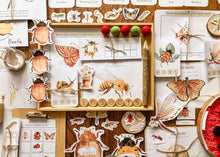 Load image into Gallery viewer, Insect Themed Morning Basket | Early Learning Pack