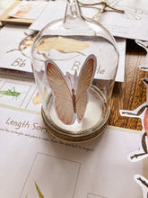 Load image into Gallery viewer, Insect Themed Morning Basket | Early Learning Pack