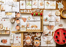 Load image into Gallery viewer, Insect Themed Morning Basket | Early Learning Pack