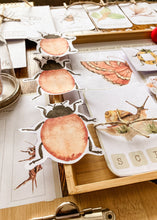 Load image into Gallery viewer, Insect Themed Morning Basket | Early Learning Pack