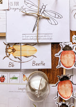 Load image into Gallery viewer, Insect Themed Morning Basket | Early Learning Pack
