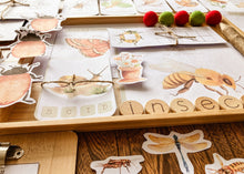 Load image into Gallery viewer, Insect Themed Morning Basket | Early Learning Pack