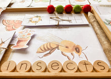 Load image into Gallery viewer, Insect Themed Morning Basket | Early Learning Pack
