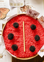 Load image into Gallery viewer, Insect Themed Morning Basket | Early Learning Pack