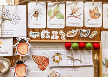 Load image into Gallery viewer, Insect Themed Morning Basket | Early Learning Pack