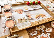 Load image into Gallery viewer, Insect Themed Morning Basket | Early Learning Pack