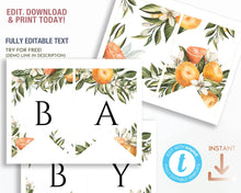 Load image into Gallery viewer, A Little Cutie Clementine Party Bunting