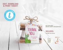 Load image into Gallery viewer, Fiesta Girl Birthday Party Favor Tag in Pink