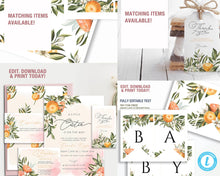 Load image into Gallery viewer, Little Cutie Pink 1st Birthday Milestone Board