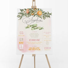 Load image into Gallery viewer, Little Cutie Pink 1st Birthday Milestone Board