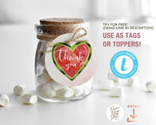 Load image into Gallery viewer, Pink Watermelon Party Cupcake Topper Round Tag