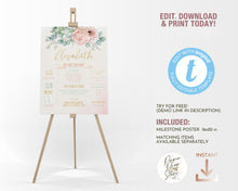 Load image into Gallery viewer, Roses & Eucalyptus First Birthday Milestone Board - ROSANNA