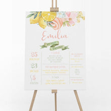 Load image into Gallery viewer, Sunshine & Lemonade First Birthday Milestone Board