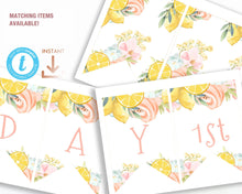 Load image into Gallery viewer, Sunshine & Lemonade Pink 2nd Birthday Invitation