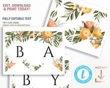 Load image into Gallery viewer, A Little Cutie Clementine Party Bunting
