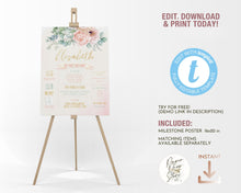 Load image into Gallery viewer, Roses &amp; Eucalyptus First Birthday Milestone Board - ROSANNA
