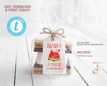 Load image into Gallery viewer, Watermelon Summer Party Favor Tag
