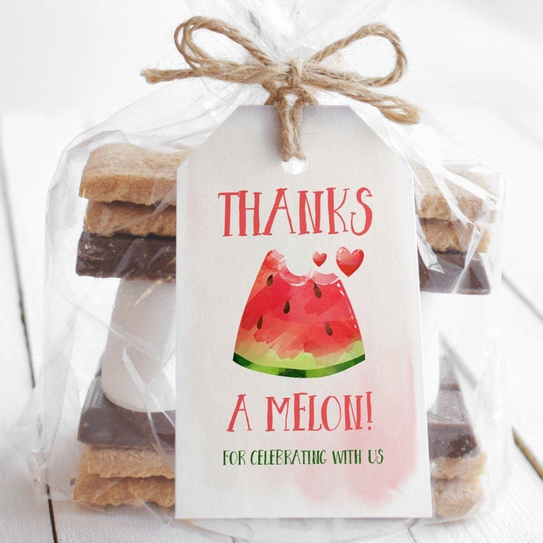 Watermelon Summer Party Favor Tag